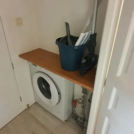 Les Fruitiers De La Sulpiciere Le Myrobolan 绍莱