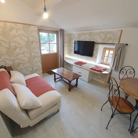 Les Fruitiers De La Sulpiciere Le Myrobolan *