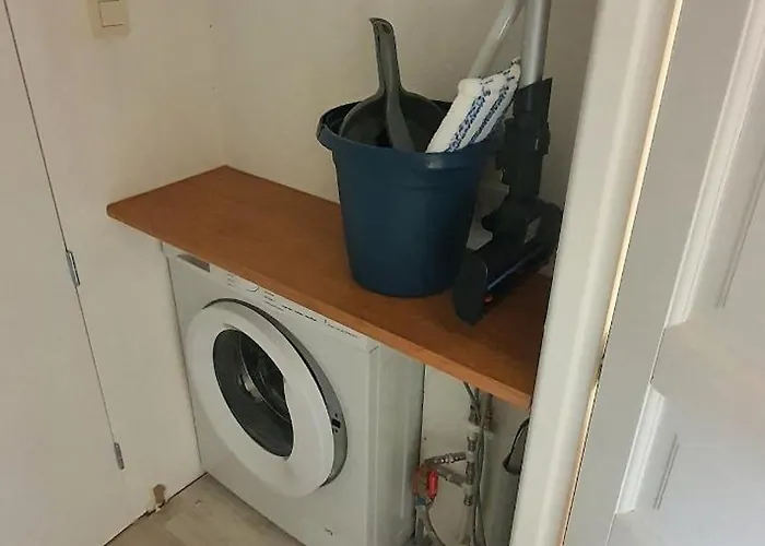 Les Fruitiers De La Sulpiciere Le Myrobolan 绍莱