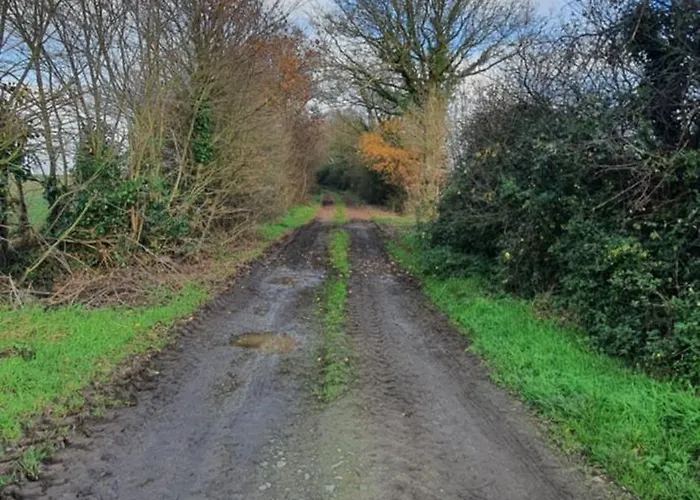 Les Fruitiers De La Sulpiciere Le Myrobolan 公寓 *